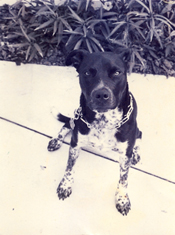 Monty